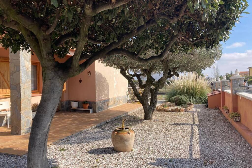 Vino Que Del Cielo Vino. Alt Penedes Holiday home *